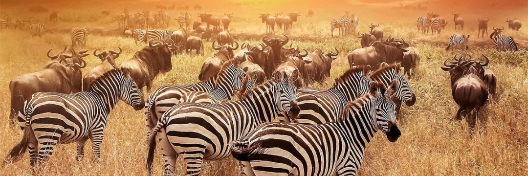 Serengeti National Park